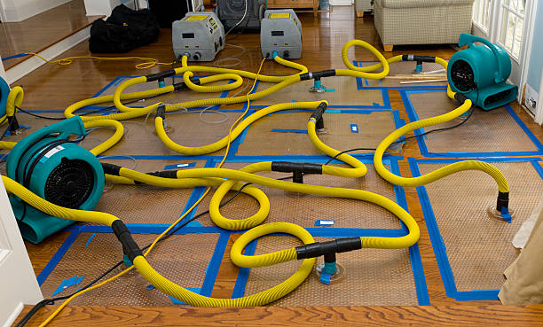 Professional Water Damage Repair technician working in Limington, ME